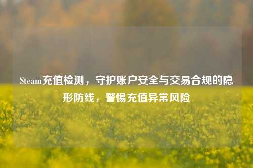 Steam充值检测,守护账户安全与交易合规的隐形防线,警惕充值异常风险