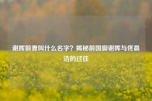 谢晖前妻叫什么名字?揭秘前国脚谢晖与佟晨洁的过往