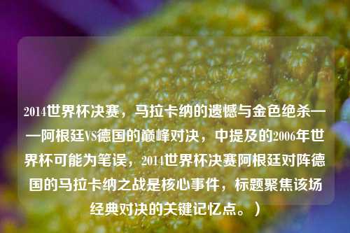 2014世界杯决赛,马拉卡纳的遗憾与金色绝杀——阿根廷VS德国的巅峰对决,中提及的2006年世界杯可能为笔误,2014世界杯决赛阿根廷对阵德国的马拉卡纳之战是核心事件,标题聚焦该场经典对决的关键记忆点。)