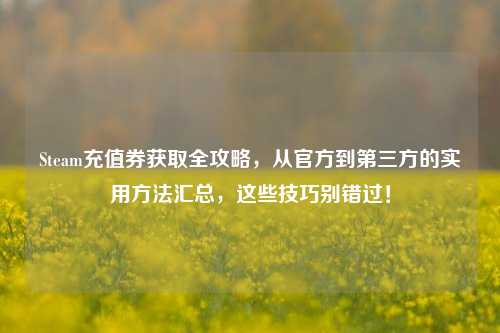 Steam充值券获取全攻略,从官方到第三方的实用方法汇总,这些技巧别错过!