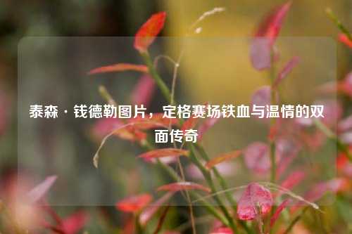 泰森·钱德勒图片,定格赛场铁血与温情的双面传奇