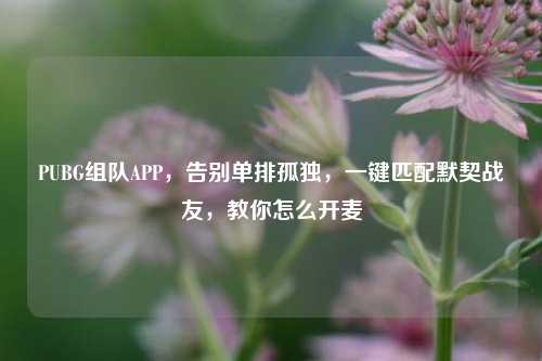 PUBG组队APP，告别单排孤独，一键匹配默契战友，教你怎么开麦