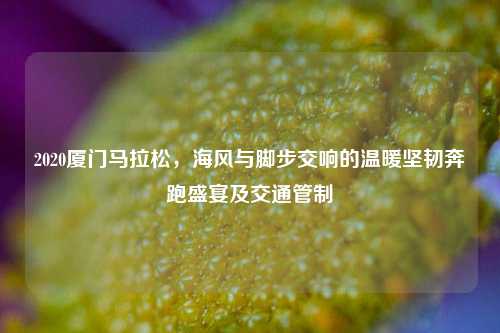 2020厦门马拉松，海风与脚步交响的温暖坚韧奔跑盛宴及交通管制