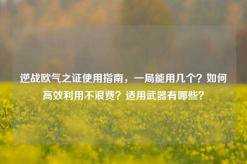 逆战欧气之证使用指南,一局能用几个?如何高效利用不浪费?适用武器有哪些?