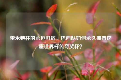 雷米特杯的永恒归宿，巴西队如何永久拥有这座世界杯传奇奖杯？