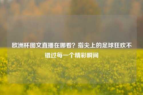 欧洲杯图文直播在哪看？指尖上的足球狂欢不错过每一个精彩瞬间