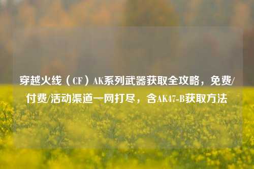 穿越火线（CF）AK系列武器获取全攻略，免费/付费/活动渠道一网打尽，含AK47-B获取方法