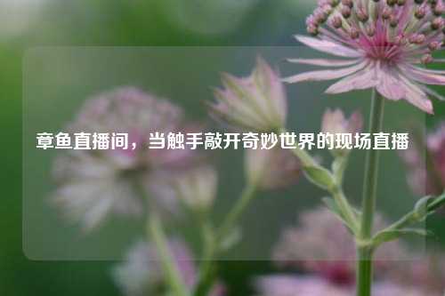 章鱼直播间，当触手敲开奇妙世界的现场直播