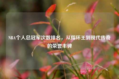 NBA个人总冠军次数排名,从指环王到现代传奇的荣誉丰碑