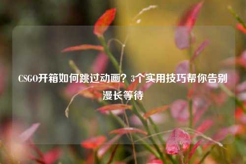 CSGO开箱如何跳过动画？3个实用技巧帮你告别漫长等待