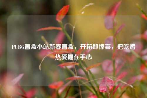 PUBG盲盒小站新春盲盒,开箱即惊喜,把吃鸡热爱握在手心