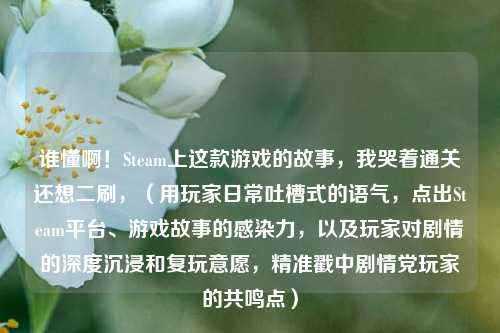 谁懂啊!Steam上这款游戏的故事,我哭着通关还想二刷,(用玩家日常吐槽式的语气,点出Steam平台、游戏故事的感染力,以及玩家对剧情的深度沉浸和复玩意愿,精准戳中剧情党玩家的共鸣点)
