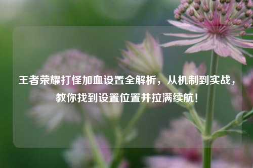 王者荣耀打怪加血设置全解析，从机制到实战，教你找到设置位置并拉满续航！