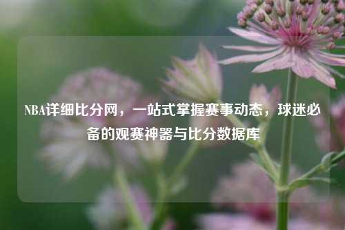 NBA详细比分网,一站式掌握赛事动态,球迷必备的观赛神器与比分数据库