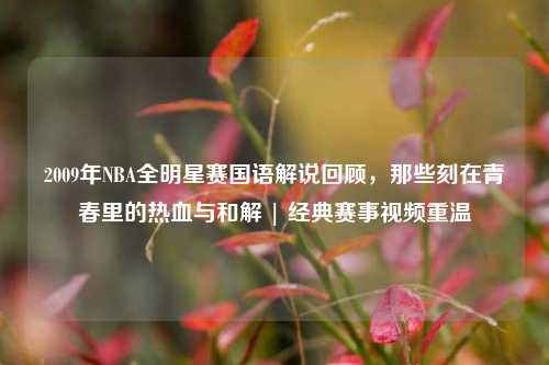 2009年NBA全明星赛国语解说回顾，那些刻在青春里的热血与和解 | 经典赛事视频重温