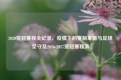 2020亚冠赛程全记录，疫情下的赛制革新与足球坚守及2026-2027亚冠赛程表