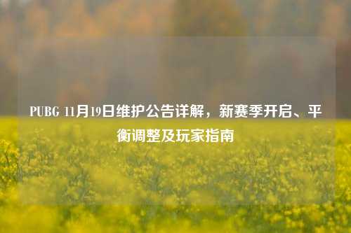 PUBG 11月19日维护公告详解，新赛季开启、平衡调整及玩家指南