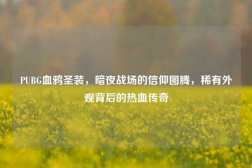 PUBG血鸦圣装,暗夜战场的信仰图腾,稀有外观背后的热血传奇