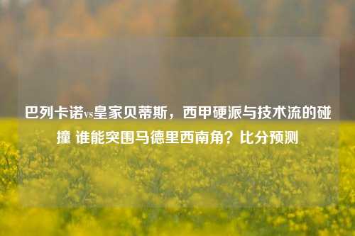 巴列卡诺vs皇家贝蒂斯，西甲硬派与技术流的碰撞 谁能突围马德里西南角？比分预测