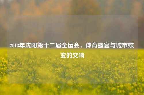 2013年沈阳第十二届全运会，体育盛宴与城市蝶变的交响