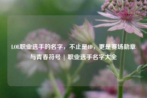 LOL职业选手的名字，不止是ID，更是赛场勋章与青春符号 | 职业选手名字大全