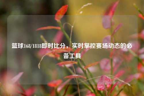 篮球168/1818即时比分，实时掌控赛场动态的必备工具