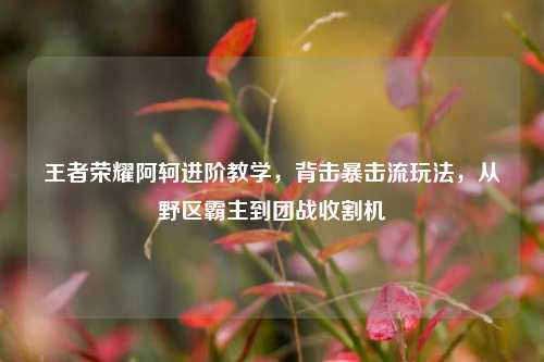 王者荣耀阿轲进阶教学,背击暴击流玩法,从野区霸主到团战收割机