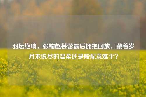 羽坛绝响,张楠赵芸蕾最后拥抱回放,藏着岁月未说尽的温柔还是般配意难平?