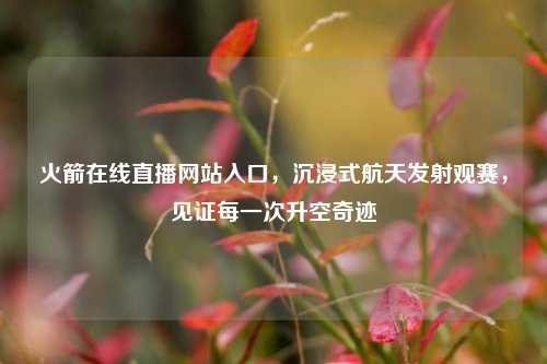 火箭在线直播网站入口，沉浸式航天发射观赛，见证每一次升空奇迹