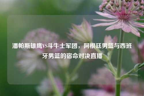 潘帕斯雄鹰VS斗牛士军团,阿根廷男篮与西班牙男篮的宿命对决直播