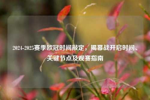 2024-2025赛季欧冠时间敲定,揭幕战开启时间、关键节点及观赛指南