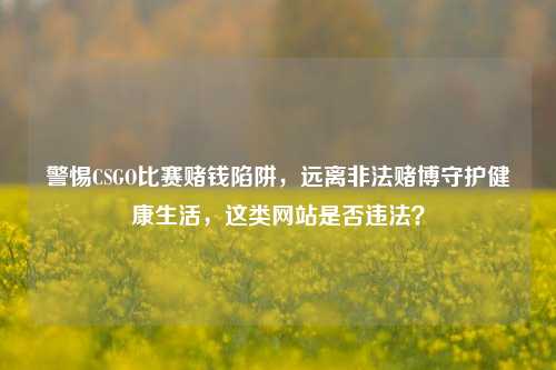 警惕CSGO比赛赌钱陷阱,远离非法赌博守护健康生活,这类网站是否违法?