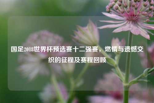 国足2018世界杯预选赛十二强赛,燃情与遗憾交织的征程及赛程回顾