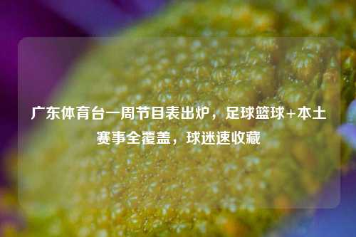 广东体育台一周节目表出炉，足球篮球+本土赛事全覆盖，球迷速收藏