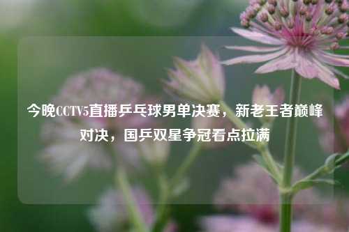 今晚CCTV5直播乒乓球男单决赛，新老王者巅峰对决，国乒双星争冠看点拉满