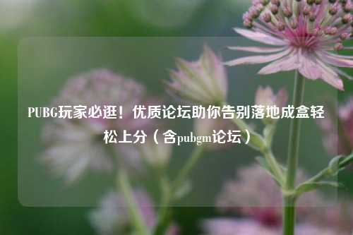 PUBG玩家必逛！优质论坛助你告别落地成盒轻松上分（含pubgm论坛）