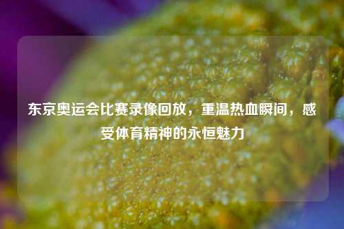 东京奥运会比赛录像回放,重温热血瞬间,感受体育精神的永恒魅力