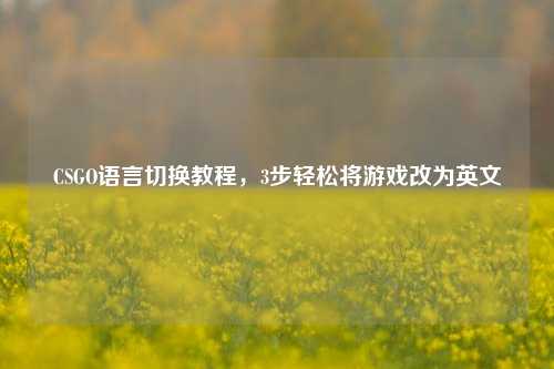 CSGO语言切换教程，3步轻松将游戏改为英文