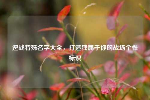 逆战特殊名字大全,打造独属于你的战场个性标识