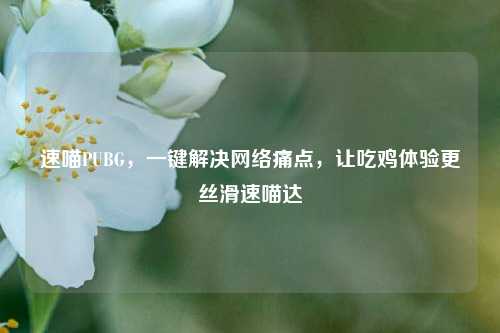 速喵PUBG，一键解决网络痛点，让吃鸡体验更丝滑速喵达