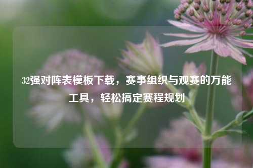 32强对阵表模板下载,赛事组织与观赛的万能工具,轻松搞定赛程规划