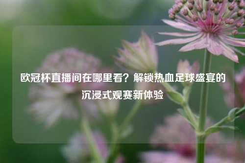 欧冠杯直播间在哪里看？解锁热血足球盛宴的沉浸式观赛新体验