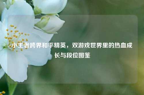 小王者跨界和平精英，双游戏世界里的热血成长与段位图鉴