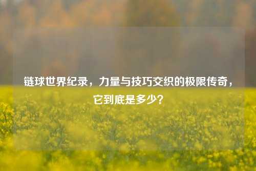 链球世界纪录,力量与技巧交织的极限传奇,它到底是多少?
