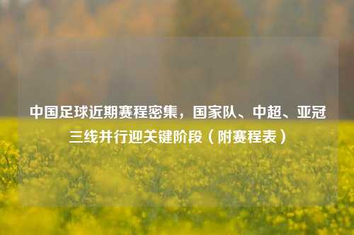 中国足球近期赛程密集，国家队、中超、亚冠三线并行迎关键阶段（附赛程表）