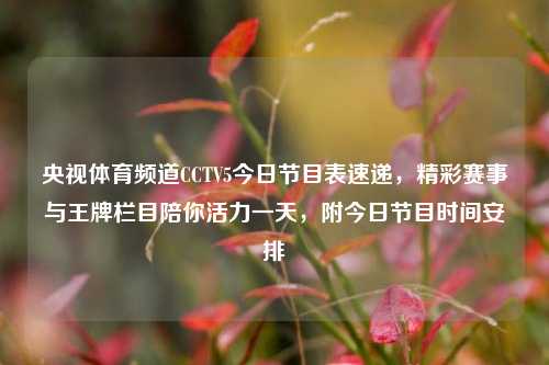 央视体育频道CCTV5今日节目表速递，精彩赛事与王牌栏目陪你活力一天，附今日节目时间安排