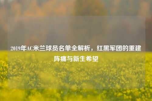 2019年AC米兰球员名单全解析，红黑军团的重建阵痛与新生希望