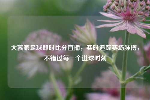 大赢家足球即时比分直播，实时追踪赛场脉搏，不错过每一个进球时刻