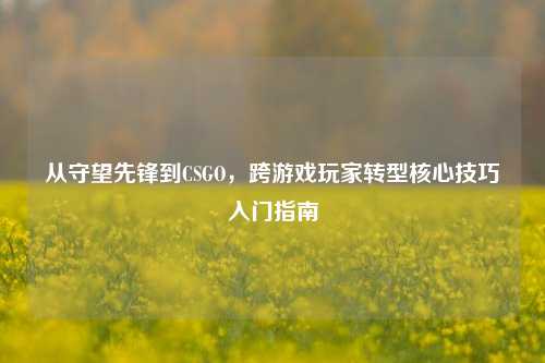 从守望先锋到CSGO，跨游戏玩家转型核心技巧入门指南
