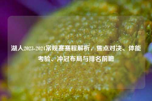 湖人2023-2024常规赛赛程解析,焦点对决、体能考验、冲冠布局与排名前瞻
